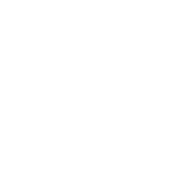 southeast-automotive-steer